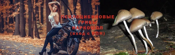 a pvp Волосово