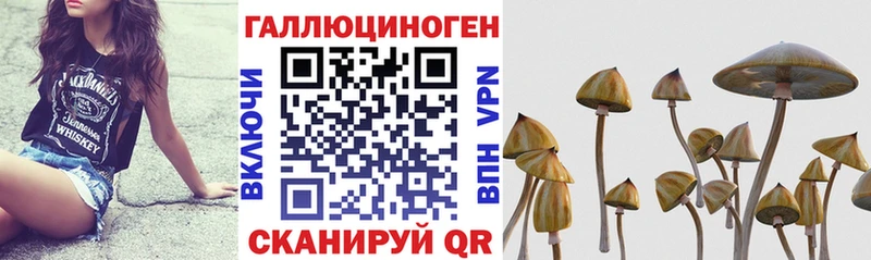 гидра зеркало  Дзержинский  Галлюциногенные грибы прущие грибы 
